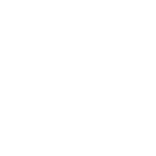 pause-button-icon